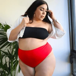 Novateks WHAT'S NEW Cheeky High Leg - Lobster