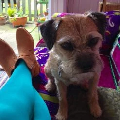 Calzifico Toninelli Opaque Tights - Beach Bum