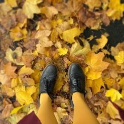 Calzifico Toninelli Opaque Tights - Colonel Mustard