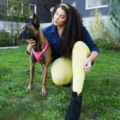 Calzifico Toninelli SPECIAL EDITIONS Opaque Tights - Seahorse